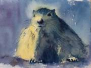 une marmotte de Valloire par Anne 